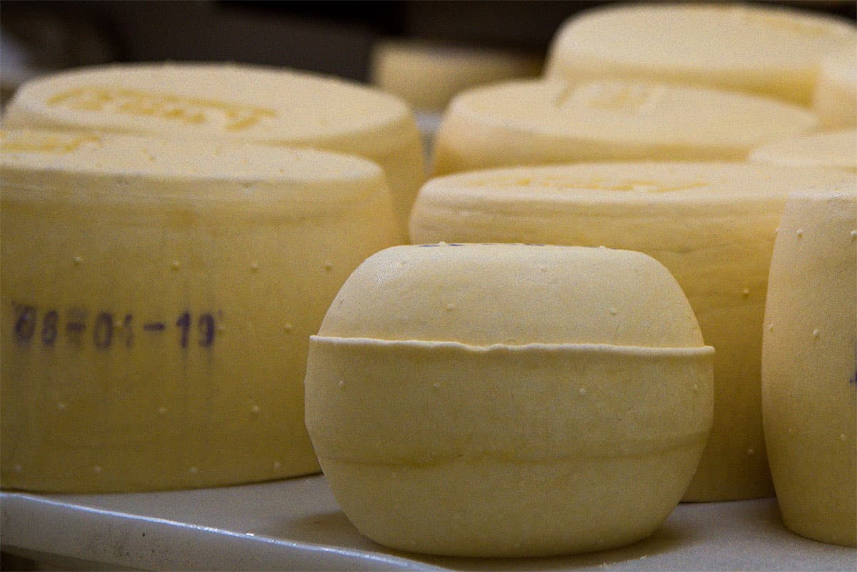 QUESO SARDO LA MACIENSE X 1 KG